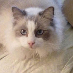 Meet your Posher, Sherrill